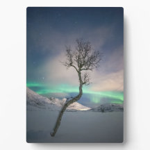 Northern Lights Foto