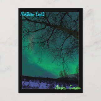 Northern Lights in Sweden Postcard Postkarte