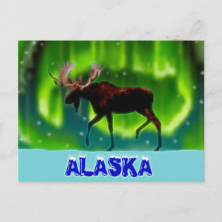 Northern Lights Moose Postkarte