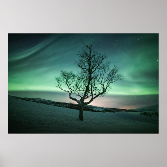 Northern Lights Norway Poster (Devant)