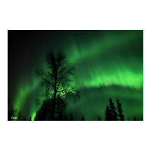 Northern Lights - Poster