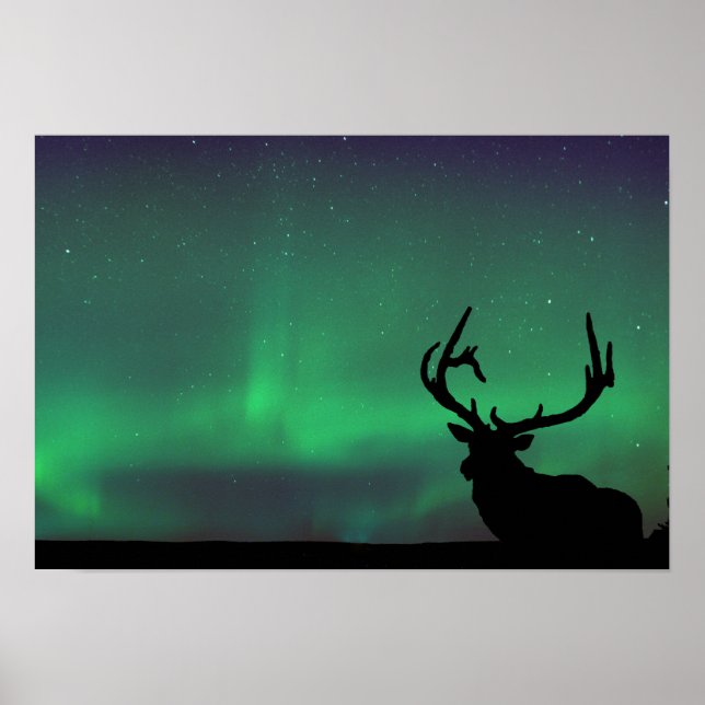 Northern Lights Poster (Vorne)