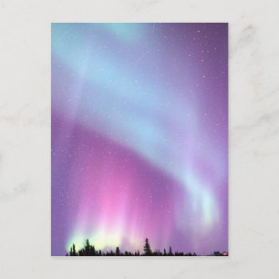 Northern Lights Sky Winter Alaska Stars Postkarte