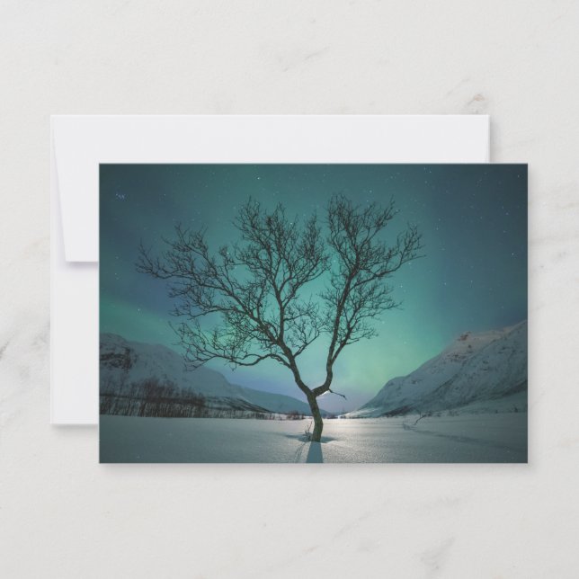 Northern Lights Tree Card (Vorderseite)