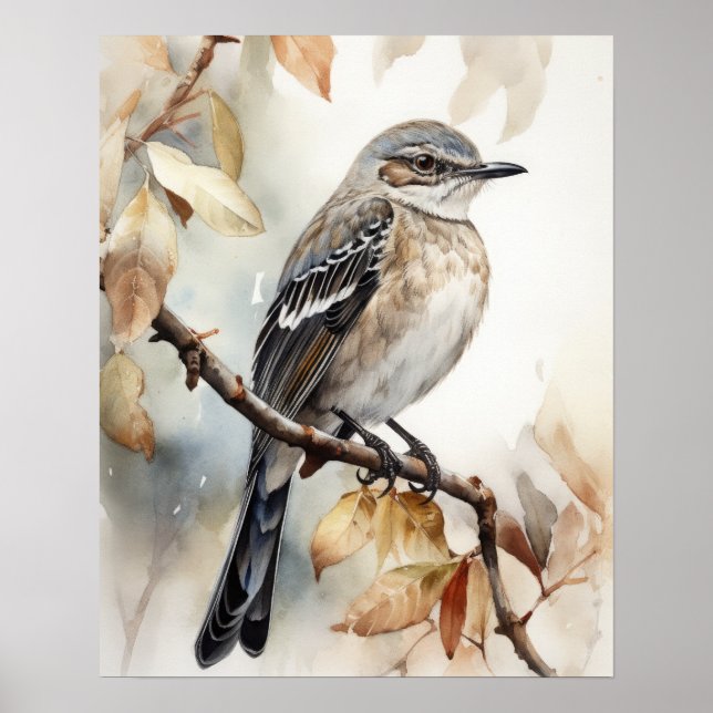 Northern Mockingbird Bird Art Print Poster (Vorne)