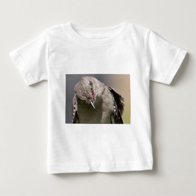 Northern Mockingbird nimmt Bow Apparel & Gifts Baby T-shirt (Vorderseite)