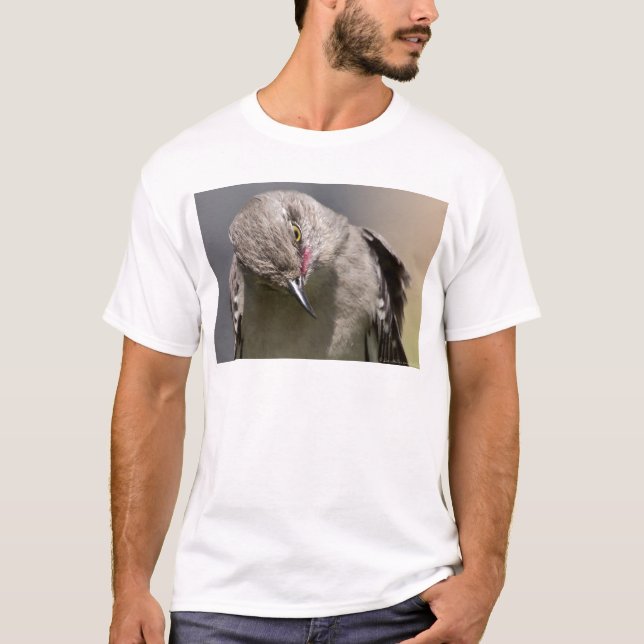 Northern Mockingbird nimmt Bow Apparel & Gifts T-Shirt (Vorderseite)