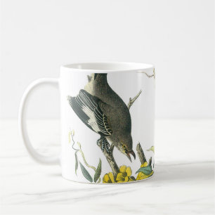 Northern Mockingbird von Audubon Kaffeetasse