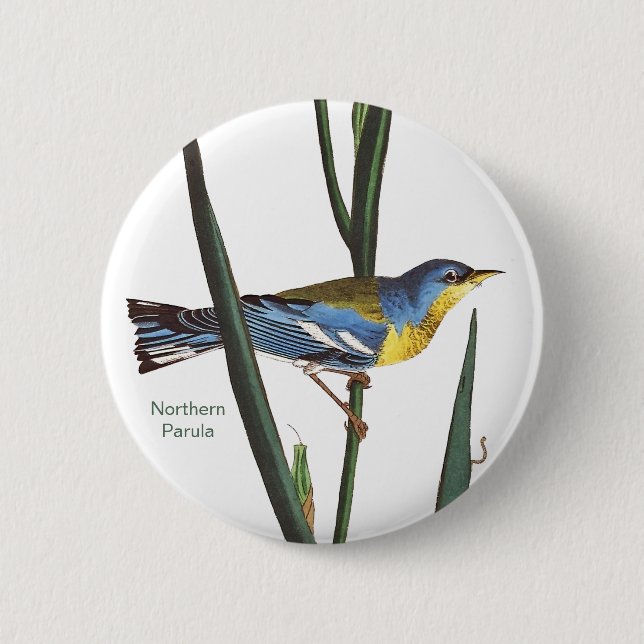 Northern Parula, Audubon, Vogelbeobachter Birdwatc Button (Vorderseite)