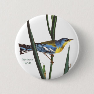 Northern Parula, Audubon, Vogelbeobachter Birdwatc Button