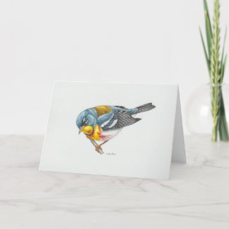 Northern Parula Warbler Art Card Dankeskarte