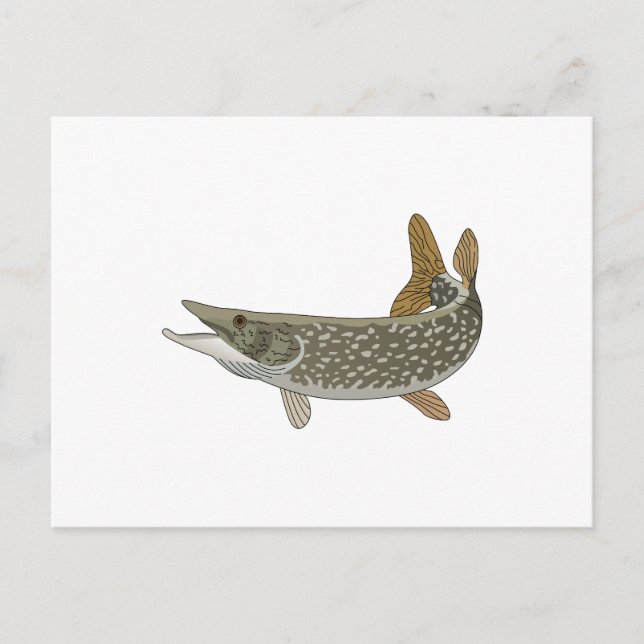 NORTHERN PIKE POSTKARTE (Vorderseite)