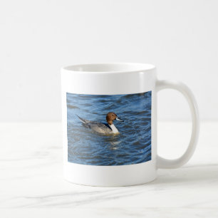 Northern Pintail Duck Kaffeetasse