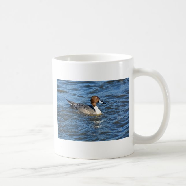 Northern Pintail Duck Kaffeetasse (Rechts)