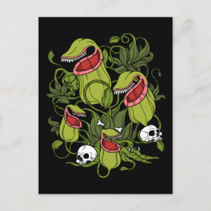 Northern Pitcher Sarracenia Postkarte