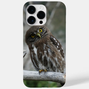 Northern Pygmy Owl iPhone 14 Pro Max Fall Case-Mate iPhone 14 Pro Max Hülle