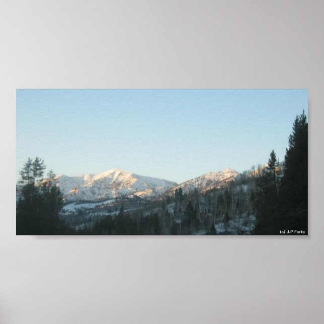 Northern Rocky Mountain Forest Poster (Vorne)