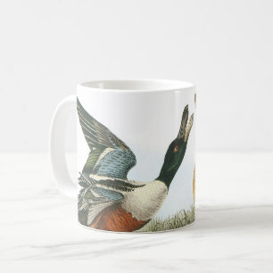 Northern Shoveler von Audubon Kaffeetasse