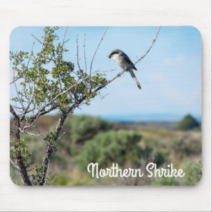 Northern Shrike Mousepad
