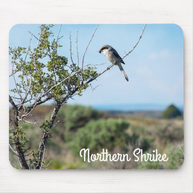 Northern Shrike Mousepad (Vorne)