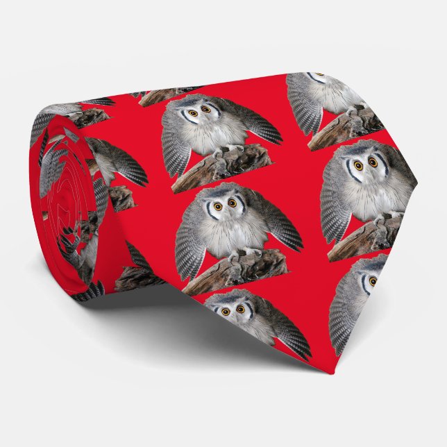 Northern White-faced Owl Krawatte (Gerollt)