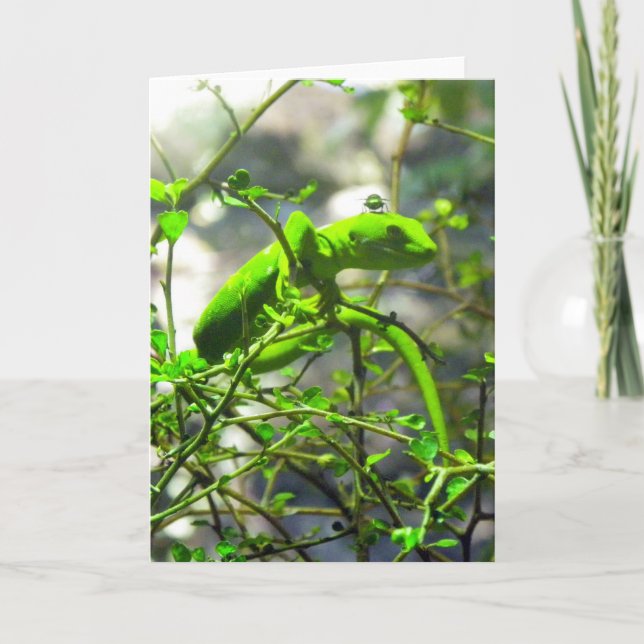 Northland Green Gecko Karte (Vorderseite)