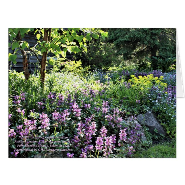 Northside Spring Hütte Rock Garden (Vorderseite (Horizontal))