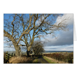 Northumberland England