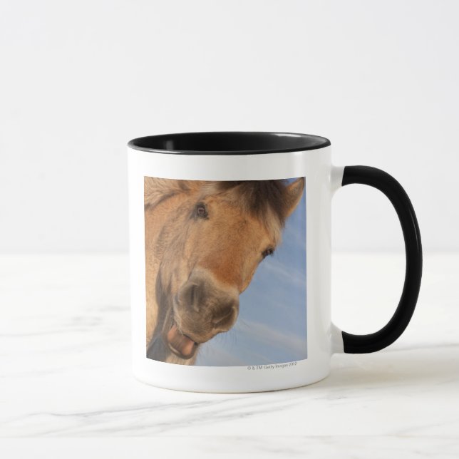 Northumberland, England 2 Tasse (Rechts)