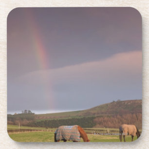Northumberland, England Untersetzer