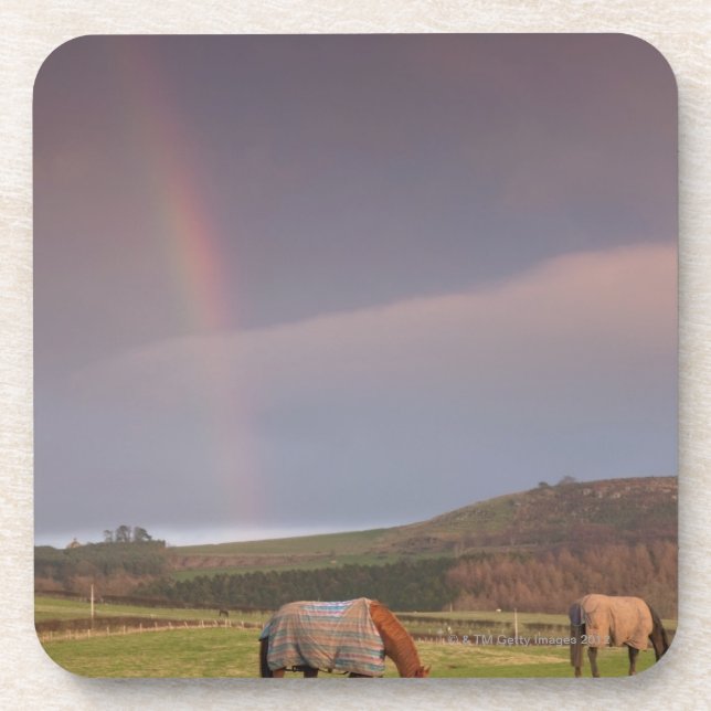 Northumberland, England Untersetzer (Vorderseite)