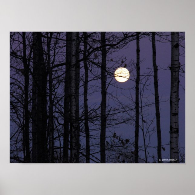 Northwood Moon. Poster (Vorne)