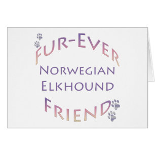 Norvégien Elkhound Furever