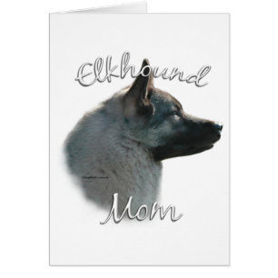 Norvégien Elkhound Mom 2