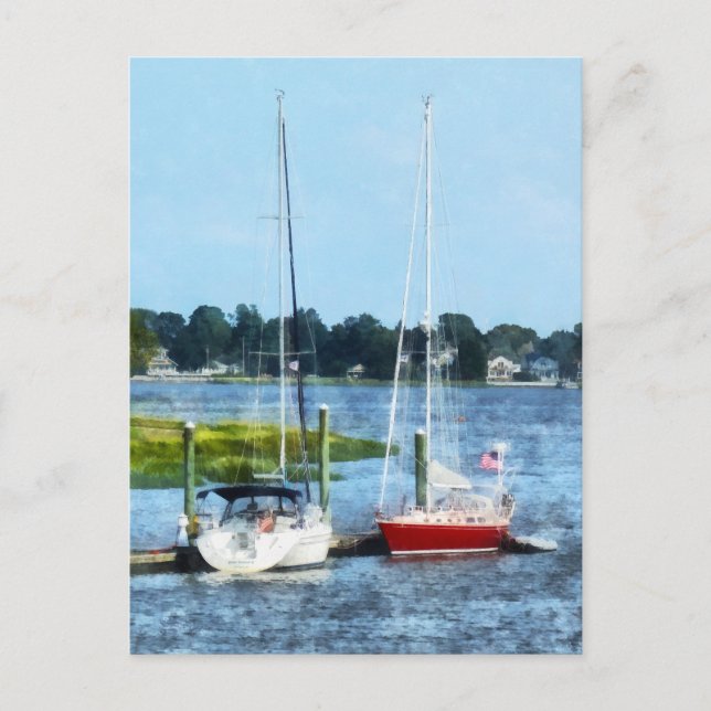 Norwalk: Zwei Segelboote, CT Postkarte (Vorderseite)