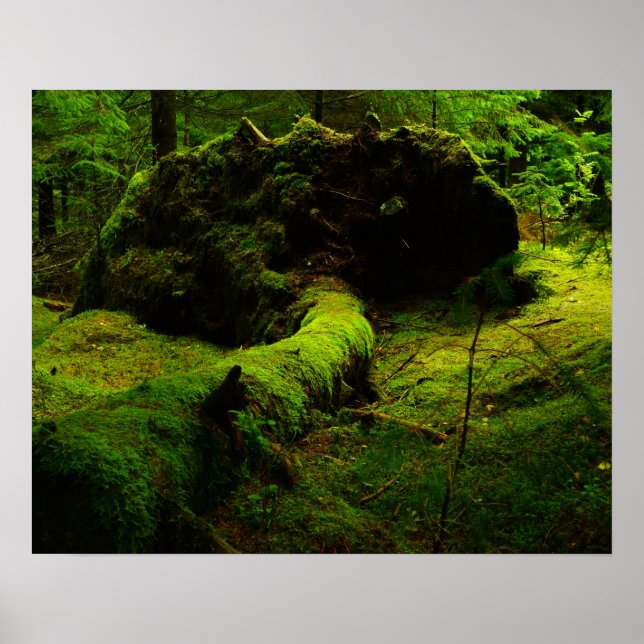 Norway in the wood poster (Vorne)