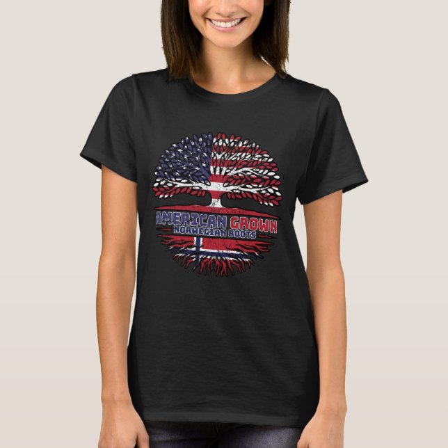 Norway Norwegian US American USA United States T-Shirt (Vorderseite)