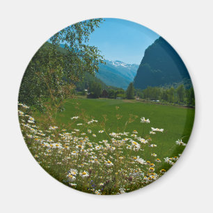 Norwegen-Frühlings-Blumen Magnet