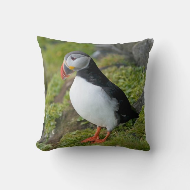 Norwegen, Svalbard Archipelago, Spitzbergen 9 Kissen (Vorderseite)