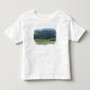 Norwegen, Trondheimsforden, Trondheim. Typisch Kleinkind T-shirt