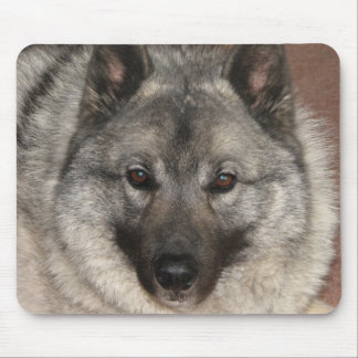Norweger Elkhound Mousepad