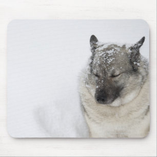 Norweger Elkhound Mousepad