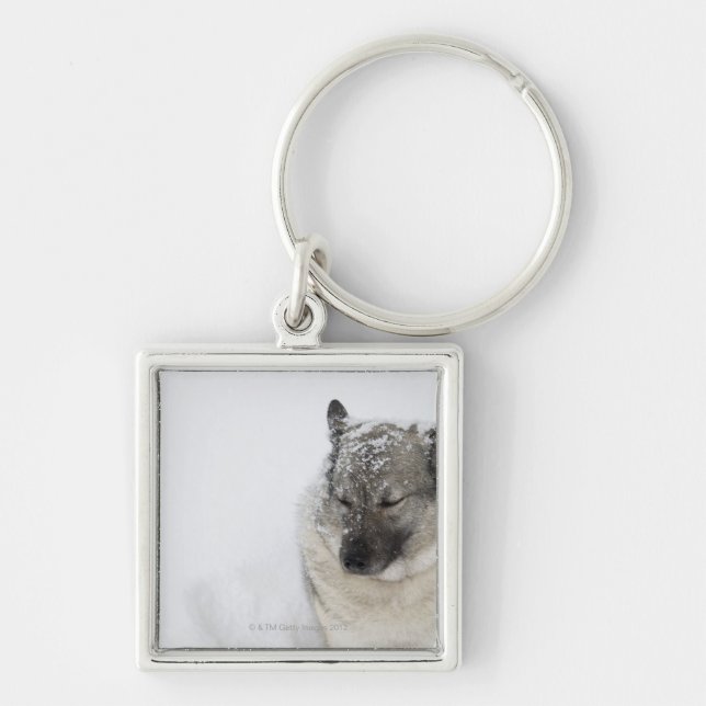 Norweger Elkhound Schlüsselanhänger (Vorne)