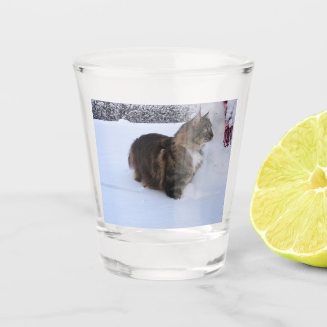norwegian forest cat in snow schnapsglas (Vorderseite)