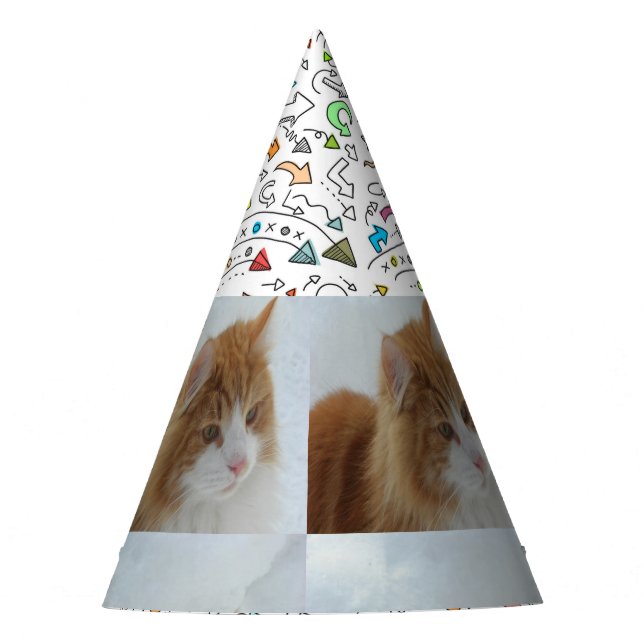 Norwegian_Forest_Cat Partyhütchen (Vorderseite)