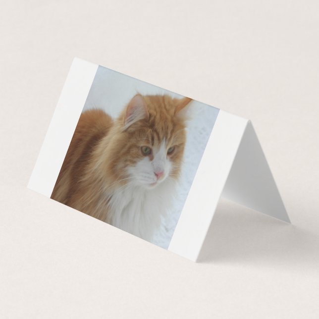Norwegian_Forest_Cat Visitenkarten (Vorderseite)