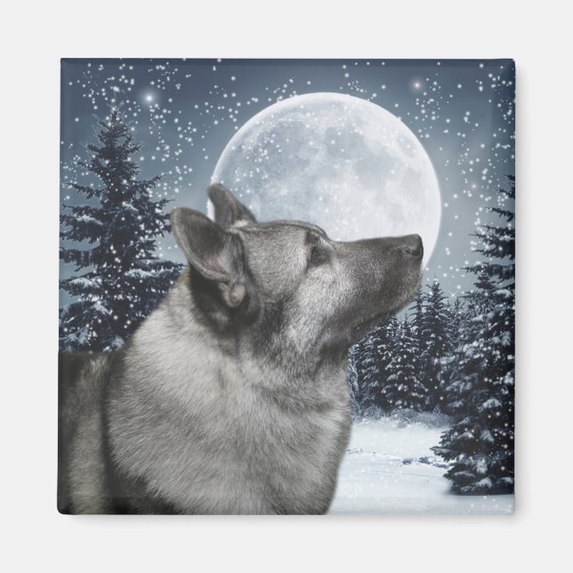 Norwegisch Elkhound Magnet (Vorne)