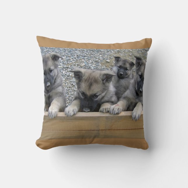 Norwegische Elkhound-Welpen Kissen (Vorderseite)