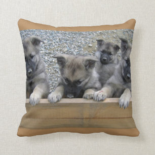 Norwegische Elkhound-Welpen Kissen