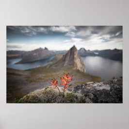 Norwegische Landschaft Poster